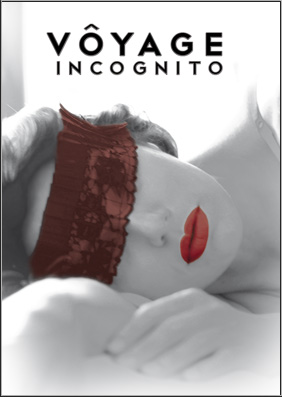 Voyage Incognito
